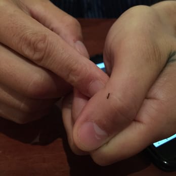 Cheddar's Scratch Kitchen - The ant on my husband inside the restaurant. - American Near Me - Augusta, Georgia
