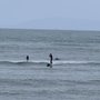 Great Day Surfing