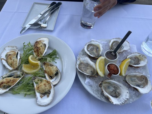 The Frisky Oyster by null