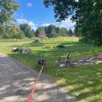 Camp Turkeyville - Campgrounds Near Me - Marshall, Michigan Camp Turkeyville - Campgrounds Near Me - Marshall, Michigan
