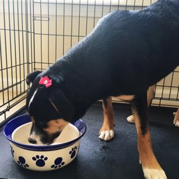 Even got a little tiny ribbon on her head Even got a little tiny ribbon on her head