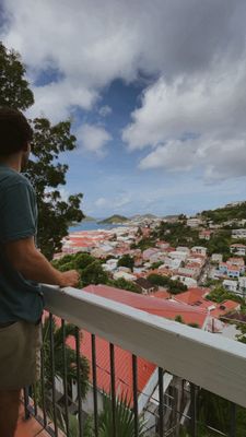 The Green Iguana Hotel by null