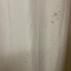 Abby Inn - Big stains on the shower curtain!
