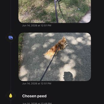 Shake It With The Bacon - Uploaded love pics - Pet Sitting Near Me