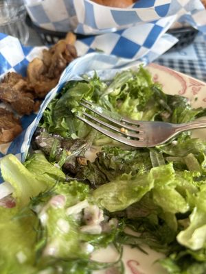 Onion City Chicken & Oyster by null