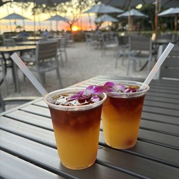 Barefoot Bar - Mai Tai - Cocktail Bars Near Me - Honolulu, Hawaii