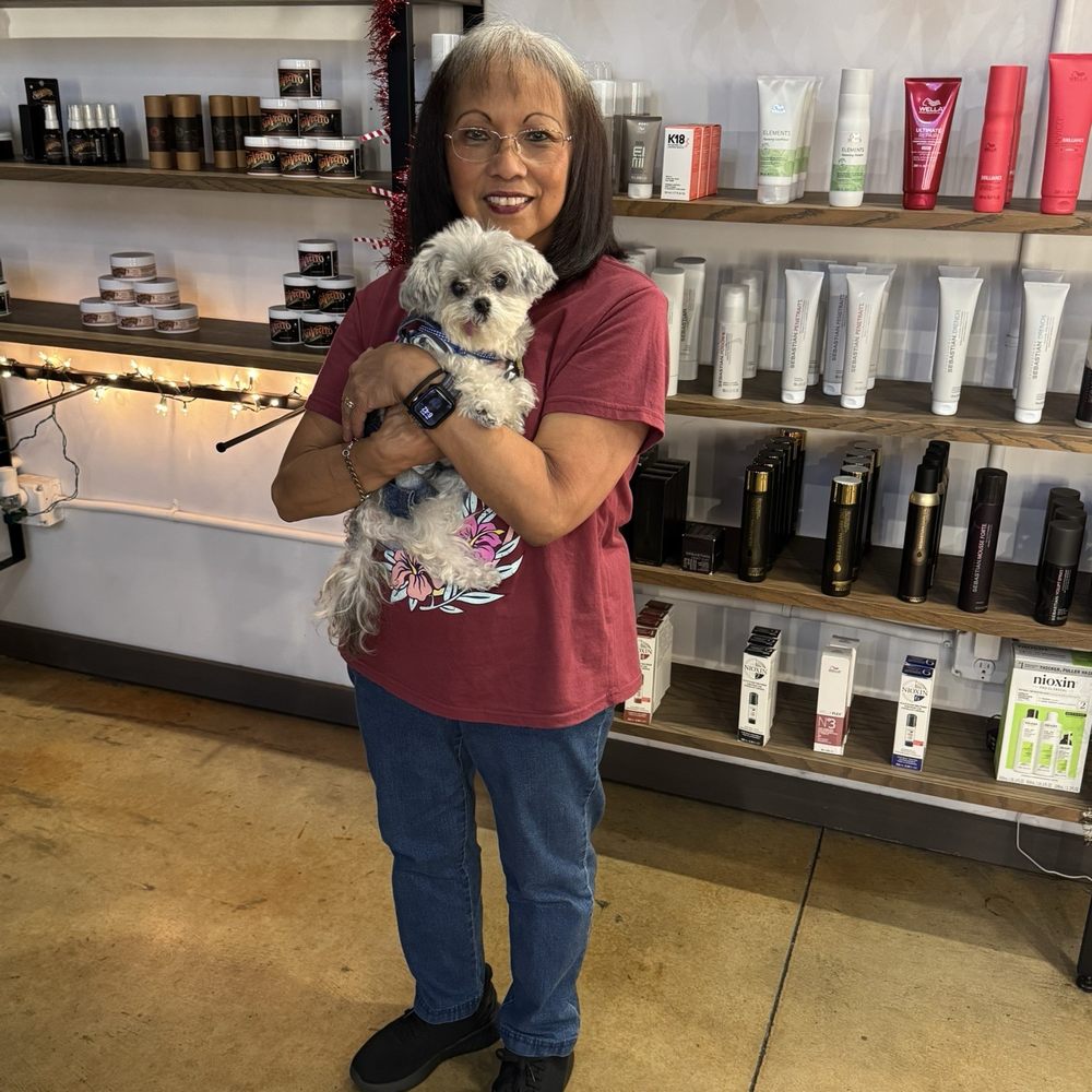 Bishops Campbell - Me & Ewok - Hair Salons Near Me - Campbell, California Bishops Campbell - Me & Ewok - Hair Salons Near Me - Campbell, California