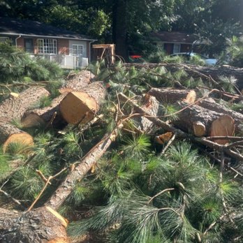 Young King’s Enterprises - How my front yard was left after cutting the tree - Painters Near Me