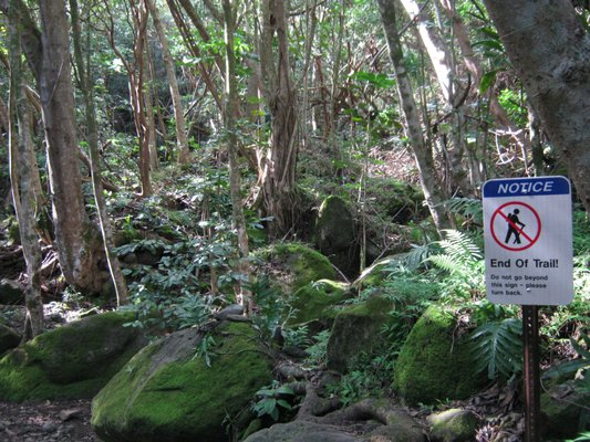 Kuli'ou'ou Valley Trail by null