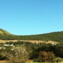 Waimea Wellness