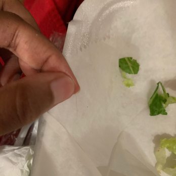 Spice Odyssey Grill - There was a hair in my gyro - Greek Near Me - Hiram, Georgia