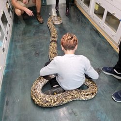 New England Reptile Distributors