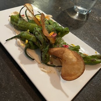 Plant - Shishito peppers! - Vegan Near Me - Asheville, North Carolina Plant - Shishito peppers! - Vegan Near Me - Asheville, North Carolina