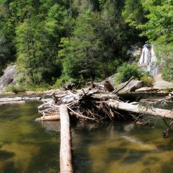 Dick's Creek Falls - Dick's Creek Falls from a distance (about 60' tall)