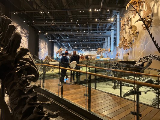 Natural History Museum of Utah by null