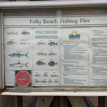 Folly Beach Pier - know who you're picking up at the pier - Fishing Near Me - Folly Beach, South Carolina Folly Beach Pier - know who you're picking up at the pier - Fishing Near Me - Folly Beach, South Carolina