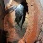 Photo of A Way Wildlife 
