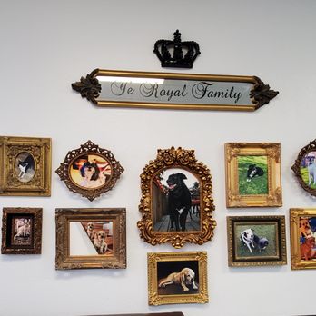 REIGNING CATS AND DOGS - Updated February 2026 - 136 Photos - 301