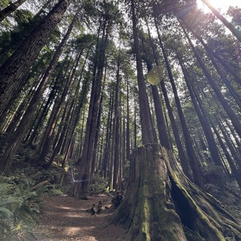 Redwood Park - Parks Near Me - Arcata, California