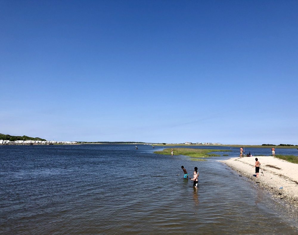 Ferry Landing Park Image