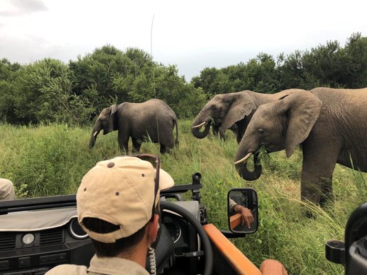 Africa Adventure Consultants by null