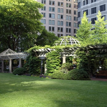 Sip Cafe - View from the patio. - Coffee & Tea Near Me - Boston, Massachusetts