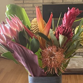 No Ka Oi Protea Farm - Protea flower/Birds of Paradise - Florists Near Me No Ka Oi Protea Farm - Protea flower/Birds of Paradise - Florists Near Me
