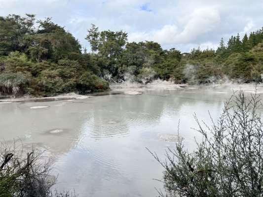 Waiotapu Thermal Wonderland by null
