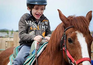 NEW MEXICO CENTER FOR THERAPEUTIC RIDING - equestrian in Santa Fe, NM