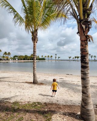 Matheson Hammock Park & Marina by null