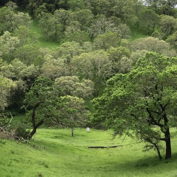 Skyline Wilderness Park - This park is so pretty - Parks Near Me - Napa, California Skyline Wilderness Park - This park is so pretty - Parks Near Me - Napa, California