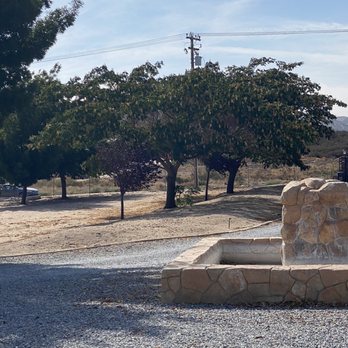 JS Tree Care - Front yard. - Tree Services Near Me - Hesperia, California JS Tree Care - Front yard. - Tree Services Near Me - Hesperia, California
