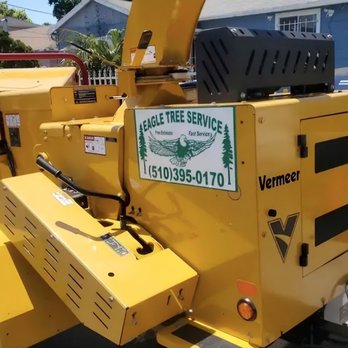 Eagle Tree Service - Tree Services Near Me - Oakland, California Eagle Tree Service - Tree Services Near Me - Oakland, California