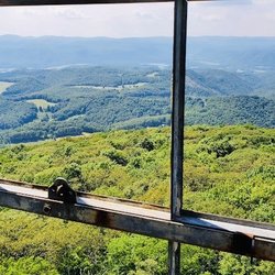 Olson Observation Tower
