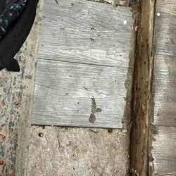 Allen's Creek Resort - The floor rooted cause she won't fix toilet