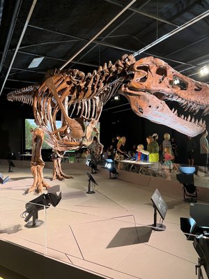 Discovery Center of Idaho by null