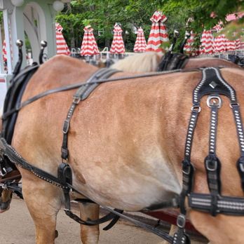 Grand Hotel - Hotels Near Me - Mackinac Island, Michigan Grand Hotel - Hotels Near Me - Mackinac Island, Michigan