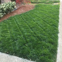 Mower Magic