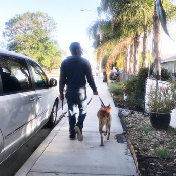 Upland Animal Shelter - Now we go on daily morning walks - Animal Shelters Near Me - Upland, California