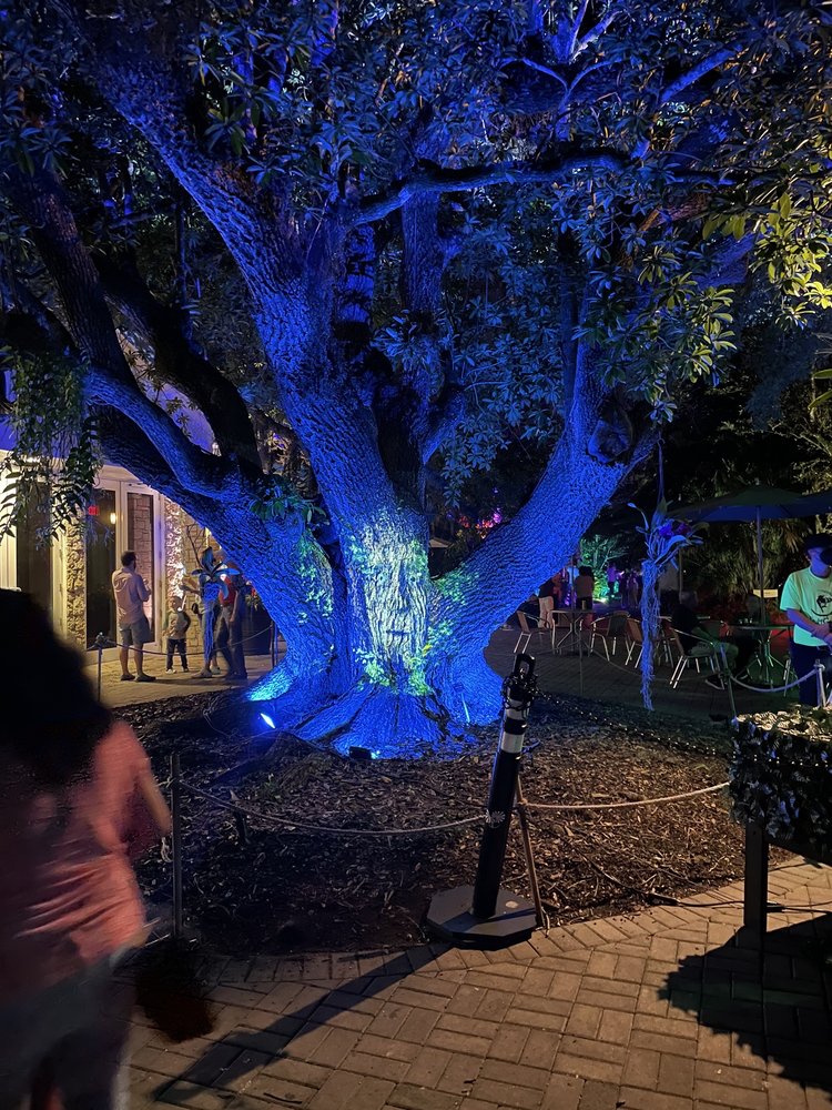 The NightGarden at Fairchild Garden