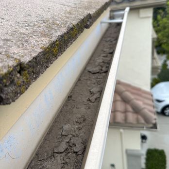 Carmel Valley Pest Control - Pest Control Near Me - San Marcos, California Carmel Valley Pest Control - Pest Control Near Me - San Marcos, California