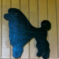 Pamper My Pooch