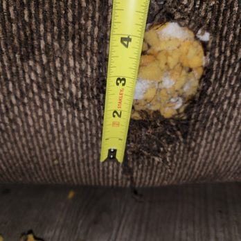 Millanes Upholstery - My dog was basically pulling the stuffing out. - Furniture Reupholstery Near Me - El Monte, California
