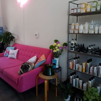 Altar Hair Studio - Doug the Pug is mascot on mid century modern couch. - Hair Salons Near Me - Seattle, Washington Altar Hair Studio - Doug the Pug is mascot on mid century modern couch. - Hair Salons Near Me - Seattle, Washington