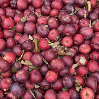 Hilltop Orchards - Wine Tasting Room Near Me - Richmond, Massachusetts