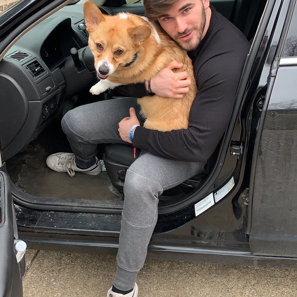 Bulletproof Dog Training - Pet Training Near Me - Cincinnati, Ohio Bulletproof Dog Training - Pet Training Near Me - Cincinnati, Ohio