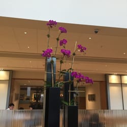 Smilow Cancer Hospital at Yale-New Haven - There is beauty all around us if we just take the time to look and listen.