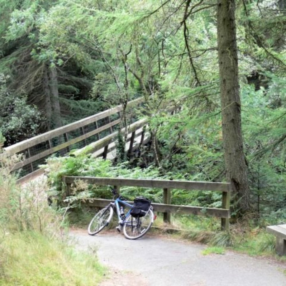 The Taff Trail - http://www.tafftrail.org.uk/album.php - Hiking Near Me - Cardiff, CRF The Taff Trail - http://www.tafftrail.org.uk/album.php - Hiking Near Me - Cardiff, CRF