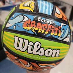 Beyond Deals - Wilson volleyball
