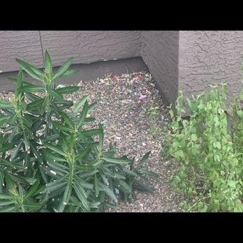 The Reserve on Cave Creek - Confetti from NYE. Not picked up - Apartments Near Me - Phoenix, Arizona The Reserve on Cave Creek - Confetti from NYE. Not picked up - Apartments Near Me - Phoenix, Arizona